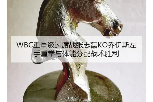 WBC重量级过渡战张志磊KO乔伊斯左手重拳与体能分配战术胜利